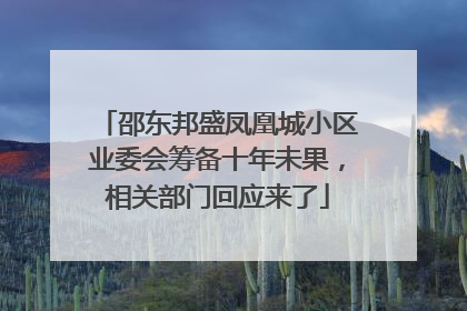 邵东邦盛凤凰城小区业委会筹备十年未果，相关部门回应来了