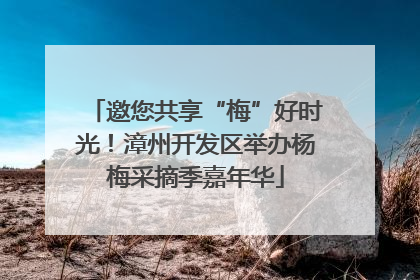 邀您共享“梅”好时光！漳州开发区举办杨梅采摘季嘉年华