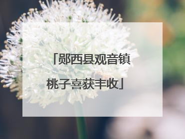 郧西县观音镇桃子喜获丰收