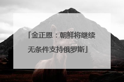 金正恩：朝鲜将继续无条件支持俄罗斯