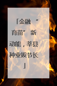 金融 “育苗” 新动能，莘县种业拔节长