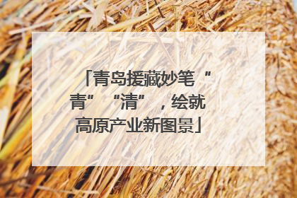 青岛援藏妙笔“青”“清”，绘就高原产业新图景