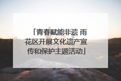 青春赋能非遗 雨花区开展文化遗产宣传和保护主题活动
