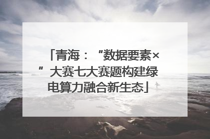 青海：“数据要素×”大赛七大赛题构建绿电算力融合新生态