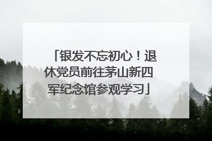 银发不忘初心！退休党员前往茅山新四军纪念馆参观学习