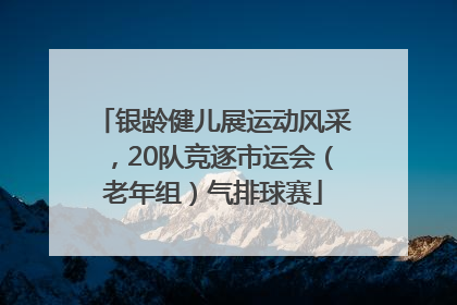 银龄健儿展运动风采，20队竞逐市运会（老年组）气排球赛