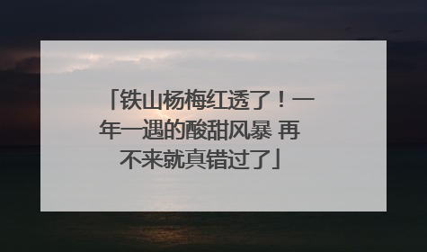 铁山杨梅红透了！一年一遇的酸甜风暴 再不来就真错过了