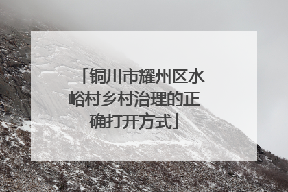 铜川市耀州区水峪村乡村治理的正确打开方式