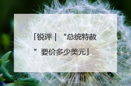 锐评｜“总统特赦”要价多少美元