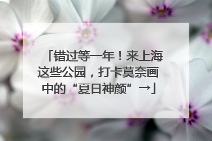 错过等一年！来上海这些公园，打卡莫奈画中的“夏日神颜”→