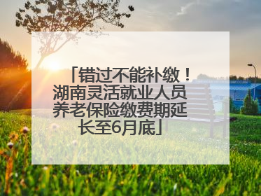 错过不能补缴！湖南灵活就业人员养老保险缴费期延长至6月底