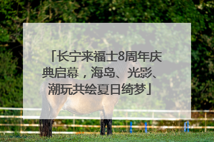 长宁来福士8周年庆典启幕，海岛、光影、潮玩共绘夏日绮梦