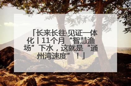 长来长往·见证一体化丨11个月“智慧渔场”下水，这就是“通州湾速度”！