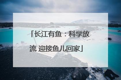 长江有鱼：科学放流 迎接鱼儿回家