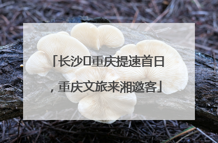 长沙⇌重庆提速首日，重庆文旅来湘邀客