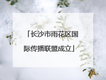 长沙市雨花区国际传播联盟成立