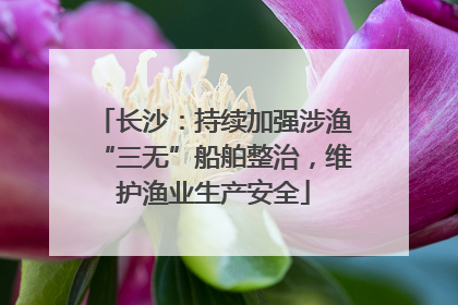 长沙：持续加强涉渔“三无”船舶整治，维护渔业生产安全