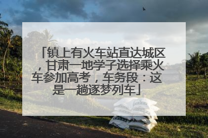 镇上有火车站直达城区，甘肃一地学子选择乘火车参加高考，车务段：这是一趟逐梦列车