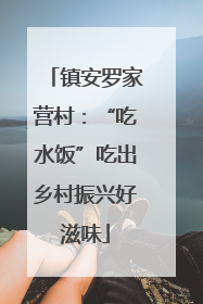 镇安罗家营村：“吃水饭”吃出乡村振兴好滋味
