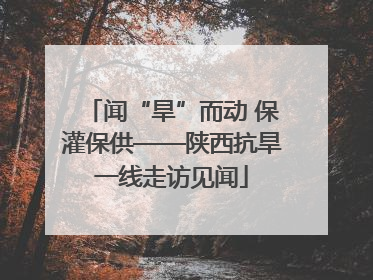 闻“旱”而动 保灌保供——陕西抗旱一线走访见闻