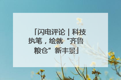闪电评论｜科技执笔，绘就“齐鲁粮仓”新丰景