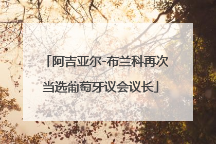 阿吉亚尔-布兰科再次当选葡萄牙议会议长