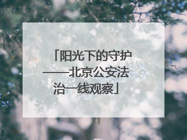 阳光下的守护——北京公安法治一线观察