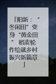 阳新：“冬闲田”变身“黄金田” 稻麦轮作绘就乡村振兴新篇章