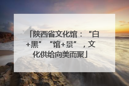 陕西省文化馆：“白+黑”“馆+景”，文化供给向美而聚