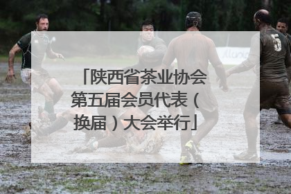 陕西省茶业协会第五届会员代表（换届）大会举行