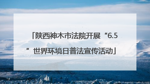 陕西神木市法院开展“6.5”世界环境日普法宣传活动