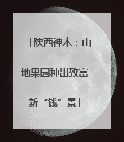 陕西神木：山地果园种出致富新“钱”景