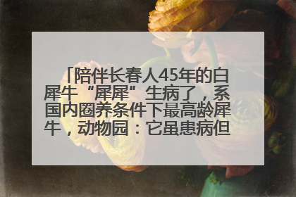 陪伴长春人45年的白犀牛“犀犀”生病了，系国内圈养条件下最高龄犀牛，动物园：它虽患病但未处于弥留之际
