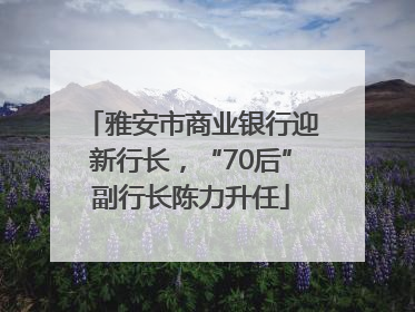 雅安市商业银行迎新行长，“70后”副行长陈力升任