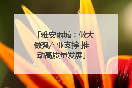 雅安雨城：做大做强产业支撑 推动高质量发展