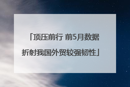 顶压前行 前5月数据折射我国外贸较强韧性
