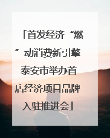 首发经济“燃”动消费新引擎 泰安市举办首店经济项目品牌入驻推进会