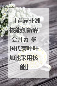 首届非洲核能创新峰会开幕 多国代表呼吁加速采用核能