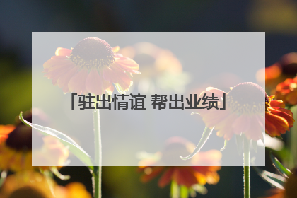 驻出情谊 帮出业绩