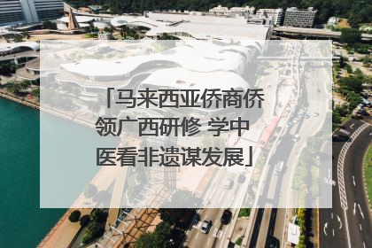 马来西亚侨商侨领广西研修 学中医看非遗谋发展