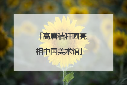 高唐秸秆画亮相中国美术馆