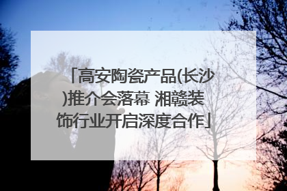 高安陶瓷产品(长沙)推介会落幕 湘赣装饰行业开启深度合作