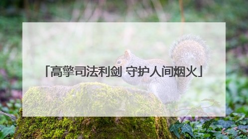 高擎司法利剑 守护人间烟火