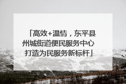 高效+温情，东平县州城街道便民服务中心打造为民服务新标杆