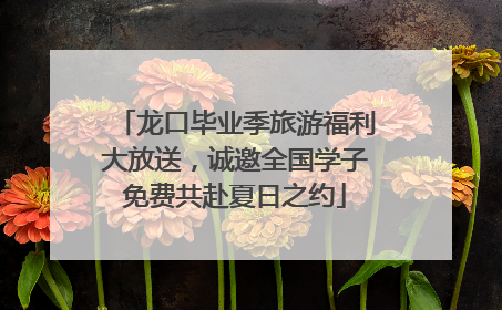 龙口毕业季旅游福利大放送，诚邀全国学子免费共赴夏日之约