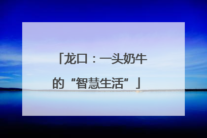 龙口：一头奶牛的“智慧生活”
