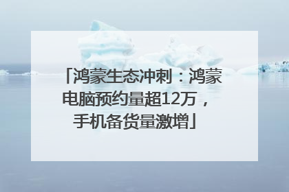 鸿蒙生态冲刺：鸿蒙电脑预约量超12万，手机备货量激增
