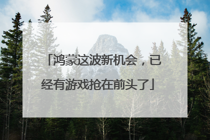 鸿蒙这波新机会，已经有游戏抢在前头了