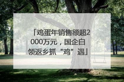 鸡蛋年销售额超2000万元，国企白领返乡抓“鸡”遇