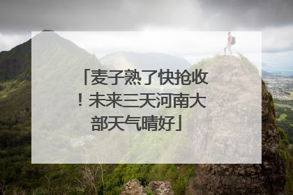 麦子熟了快抢收！未来三天河南大部天气晴好